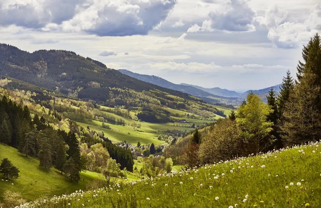 Elzland Hotel Pfauen Wellness & Spa-1